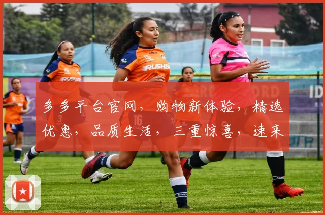 多多平台官网，购物新体验，精选优惠，品质生活，三重惊喜，速来探索