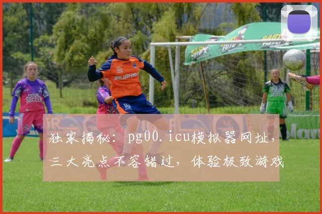 独家揭秘：pg00.icu模拟器网址，三大亮点不容错过，体验极致游戏