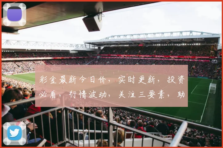 彩金最新今日价，实时更新，投资必看，行情波动，关注三要素，助您精准把握。